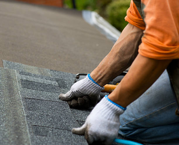 Best Shingle Roofing Installation  in Arabi, LA